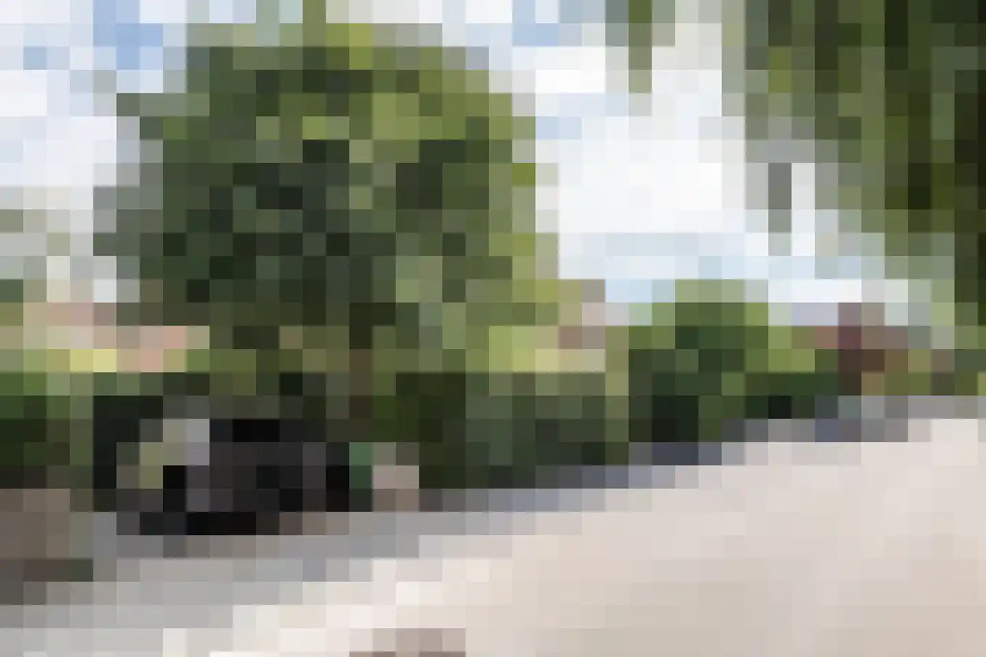 Pernambucolaan 15 Overveen thumbnail 51
