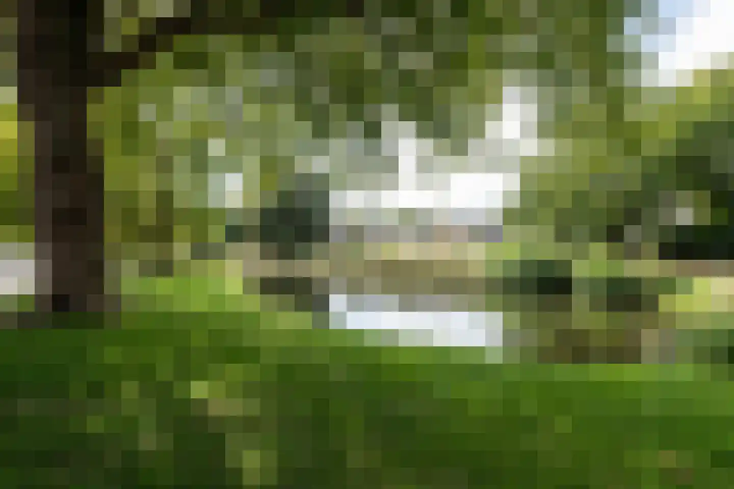 Pernambucolaan 15 Overveen thumbnail 55