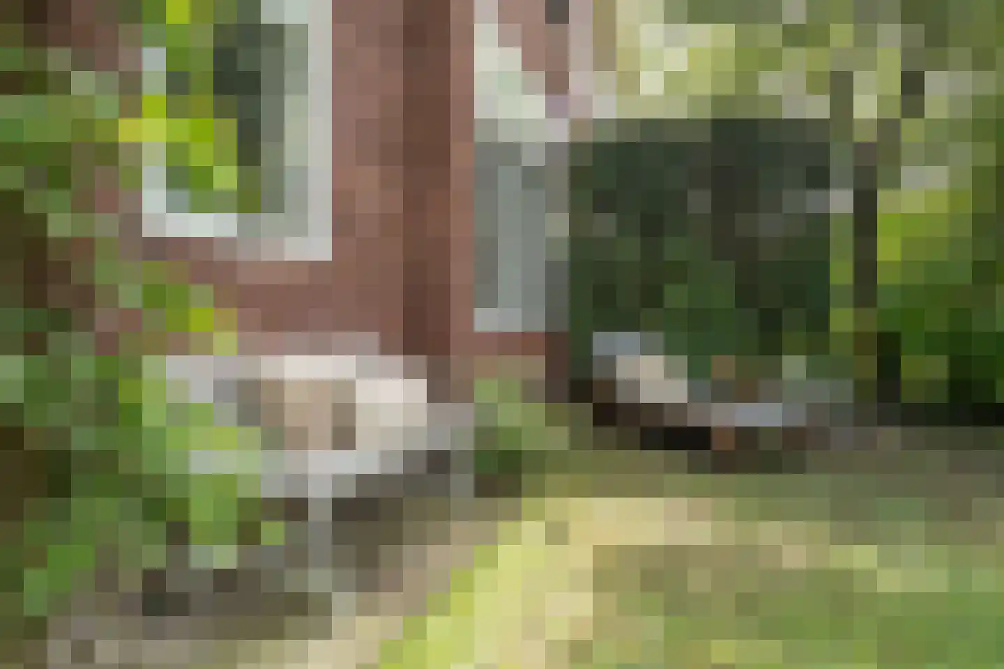 Pernambucolaan 15 Overveen thumbnail 6