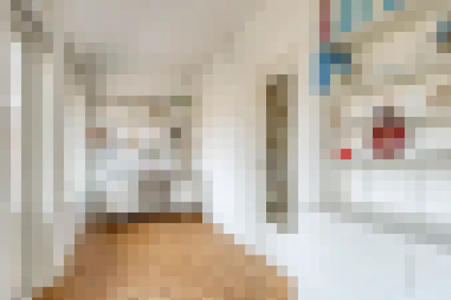 Pernambucolaan 49 Overveen thumbnail 26