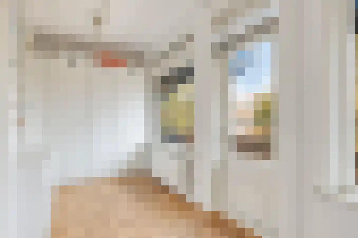 Pernambucolaan 49 Overveen thumbnail 27