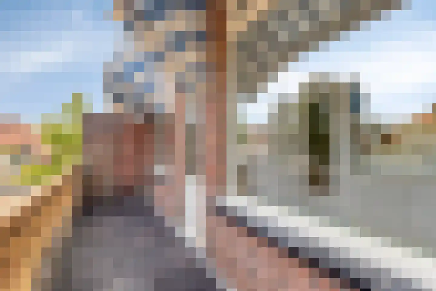 Pernambucolaan 49 Overveen thumbnail 28