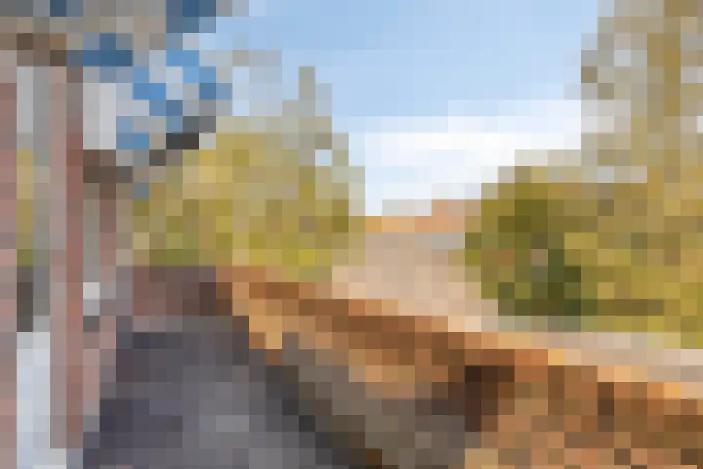 Pernambucolaan 49 Overveen thumbnail 29