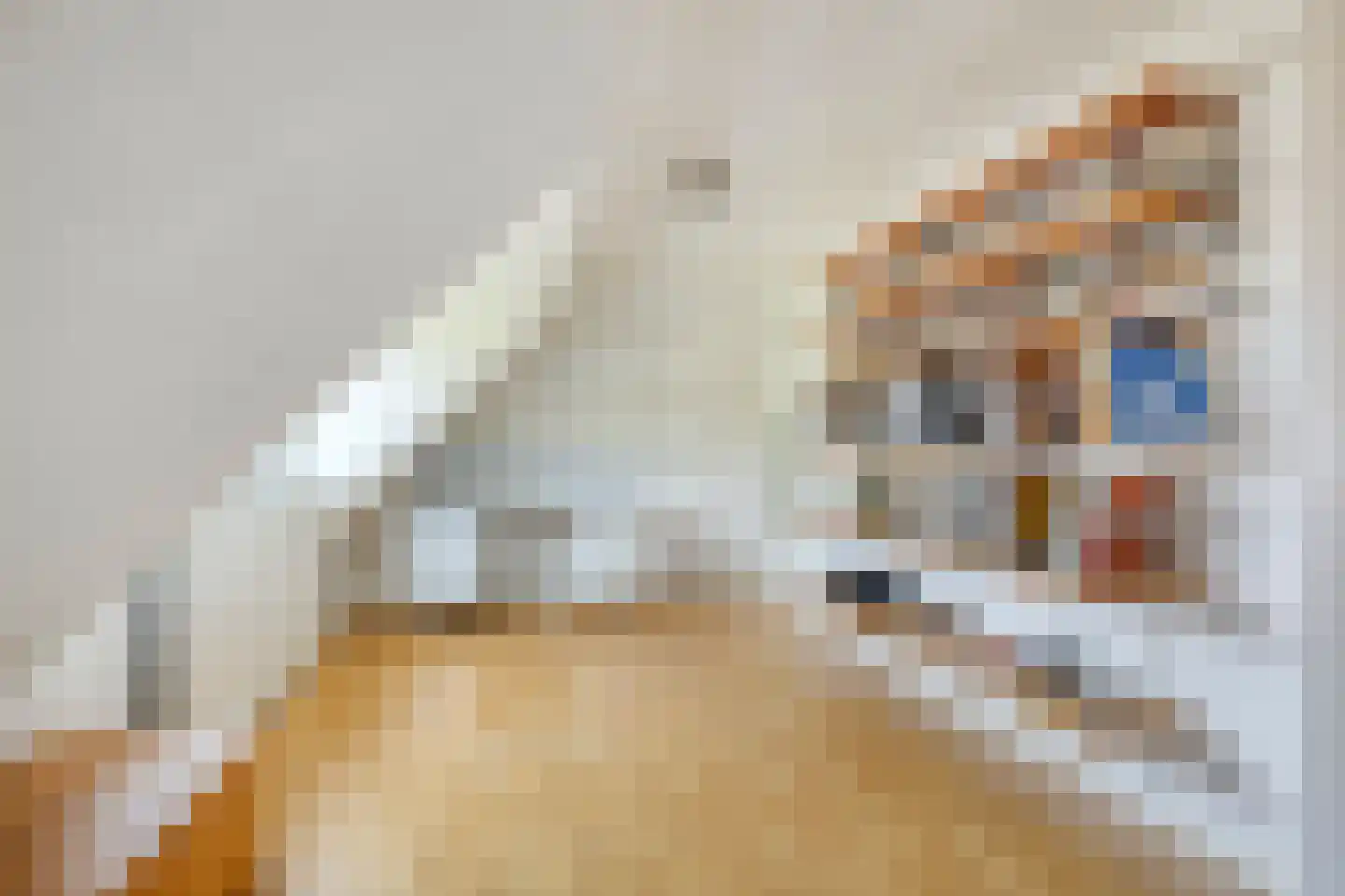 Pernambucolaan 49 Overveen thumbnail 37