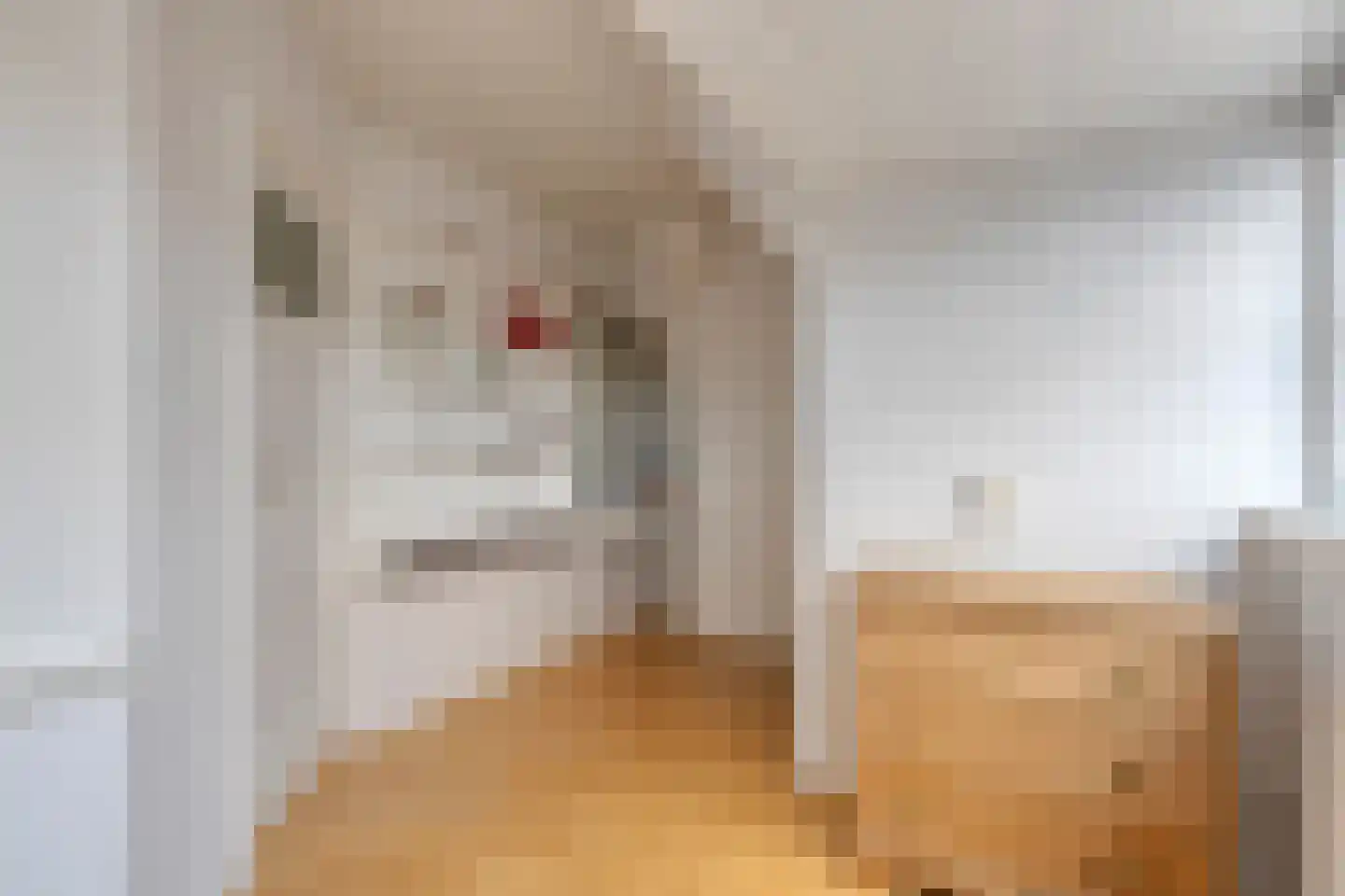 Pernambucolaan 49 Overveen thumbnail 40