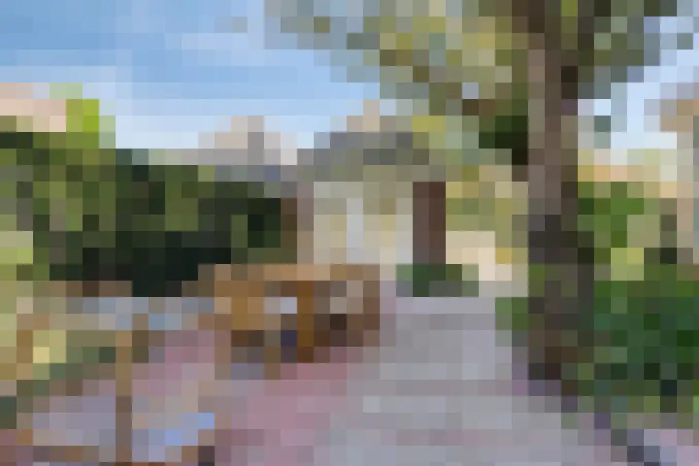 Pernambucolaan 49 Overveen thumbnail 48