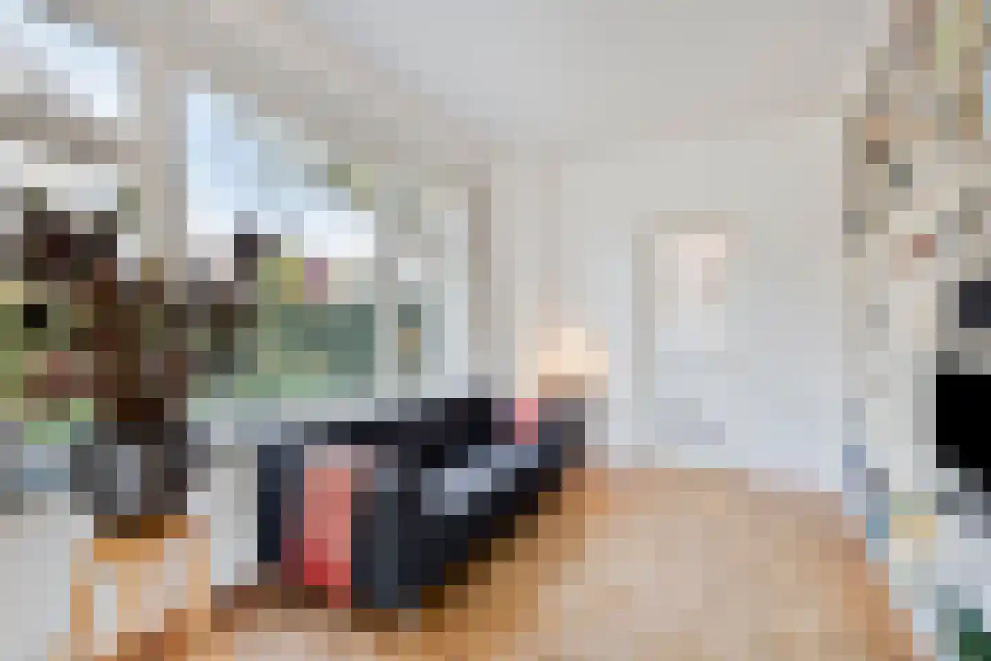 Pernambucolaan 49 Overveen thumbnail 9