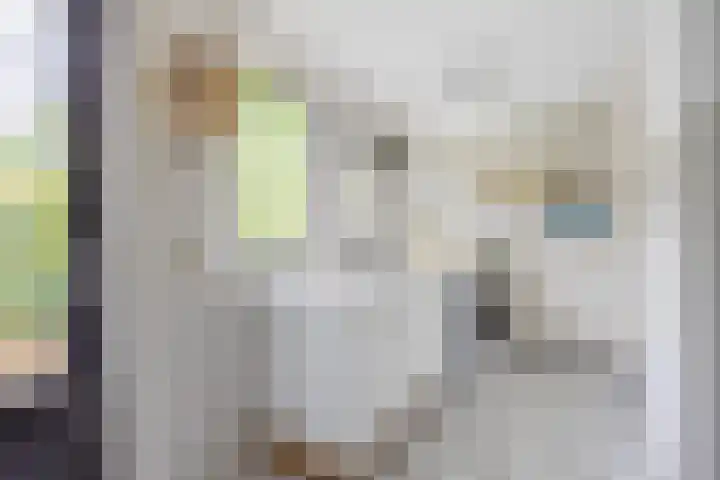 Pernambucolaan 6 a Overveen thumbnail 10