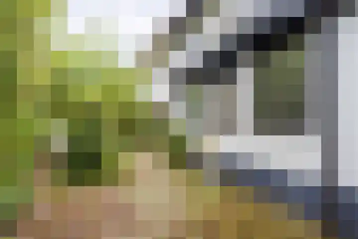 Pernambucolaan 6 a Overveen thumbnail 11