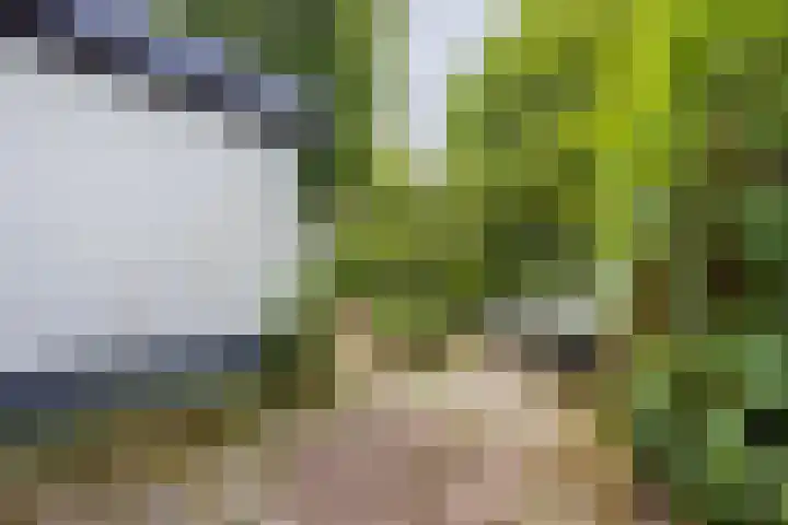 Pernambucolaan 6 a Overveen thumbnail 12