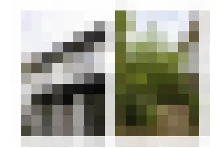Pernambucolaan 6 a Overveen thumbnail 13