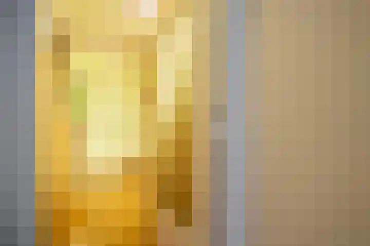 Pernambucolaan 6 a Overveen thumbnail 14