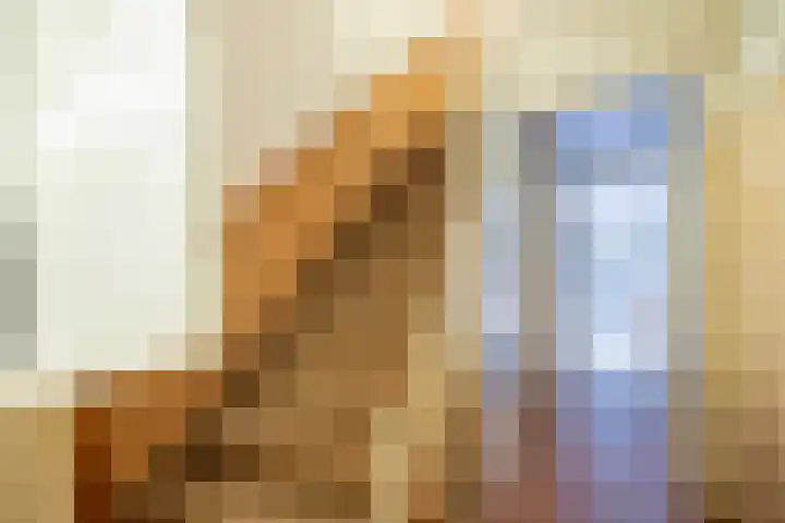 Pernambucolaan 6 a Overveen thumbnail 15