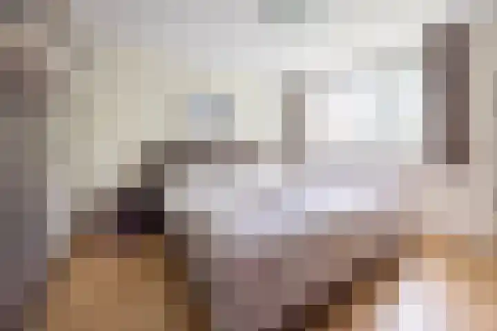 Pernambucolaan 6 a Overveen thumbnail 16