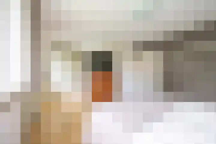 Pernambucolaan 6 a Overveen thumbnail 17