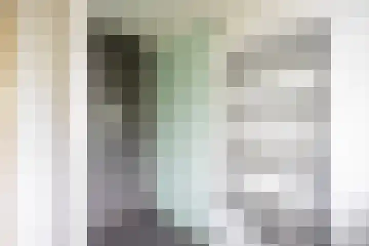 Pernambucolaan 6 a Overveen thumbnail 19