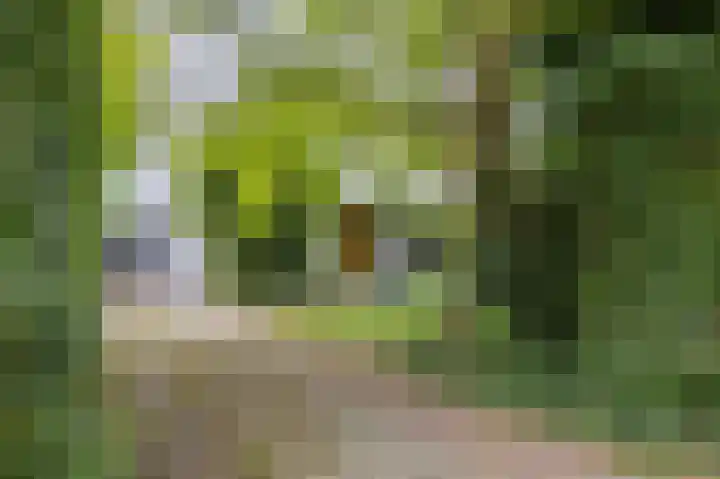 Pernambucolaan 6 a Overveen thumbnail 23