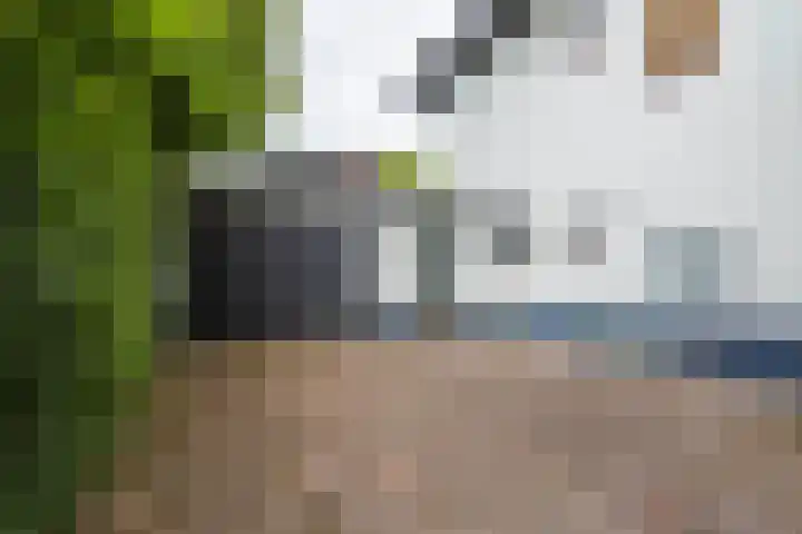 Pernambucolaan 6 a Overveen thumbnail 25