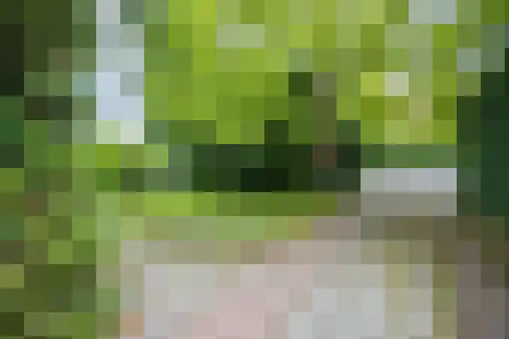 Pernambucolaan 6 a Overveen thumbnail 26