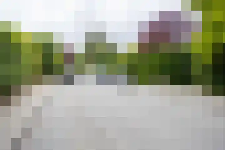 Pernambucolaan 6 a Overveen thumbnail 27
