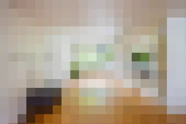 Pernambucolaan 6 a Overveen thumbnail 5
