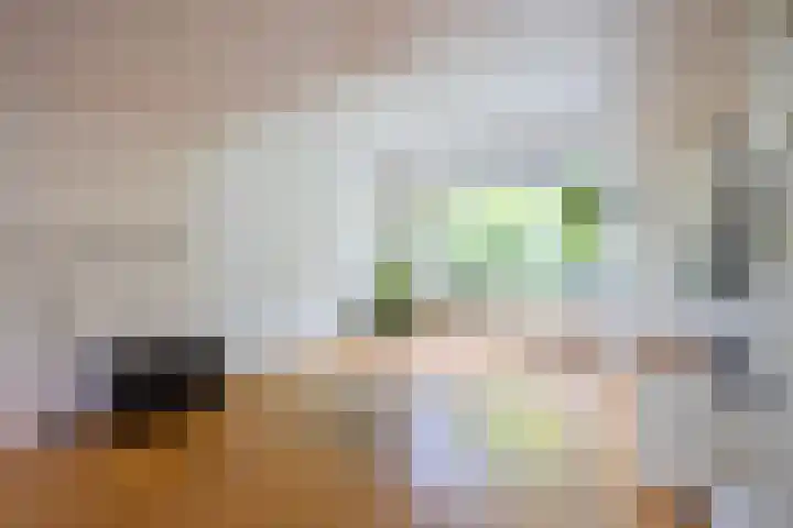 Pernambucolaan 6 a Overveen thumbnail 7