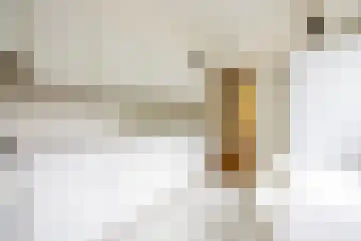Pernambucolaan 6 a Overveen thumbnail 8
