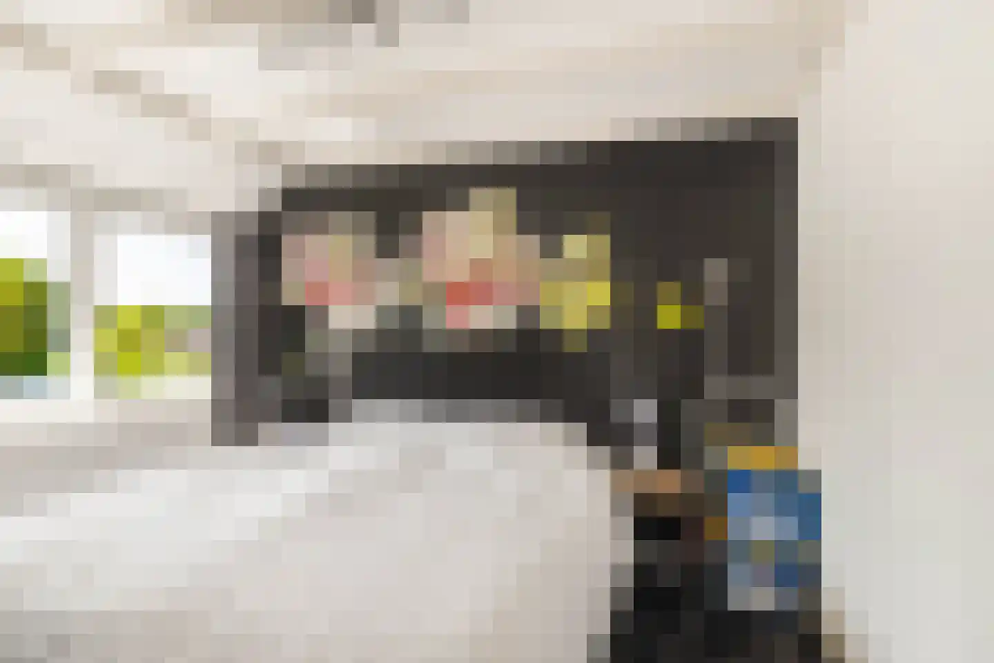 Pernéstraat 34 Castricum thumbnail 25