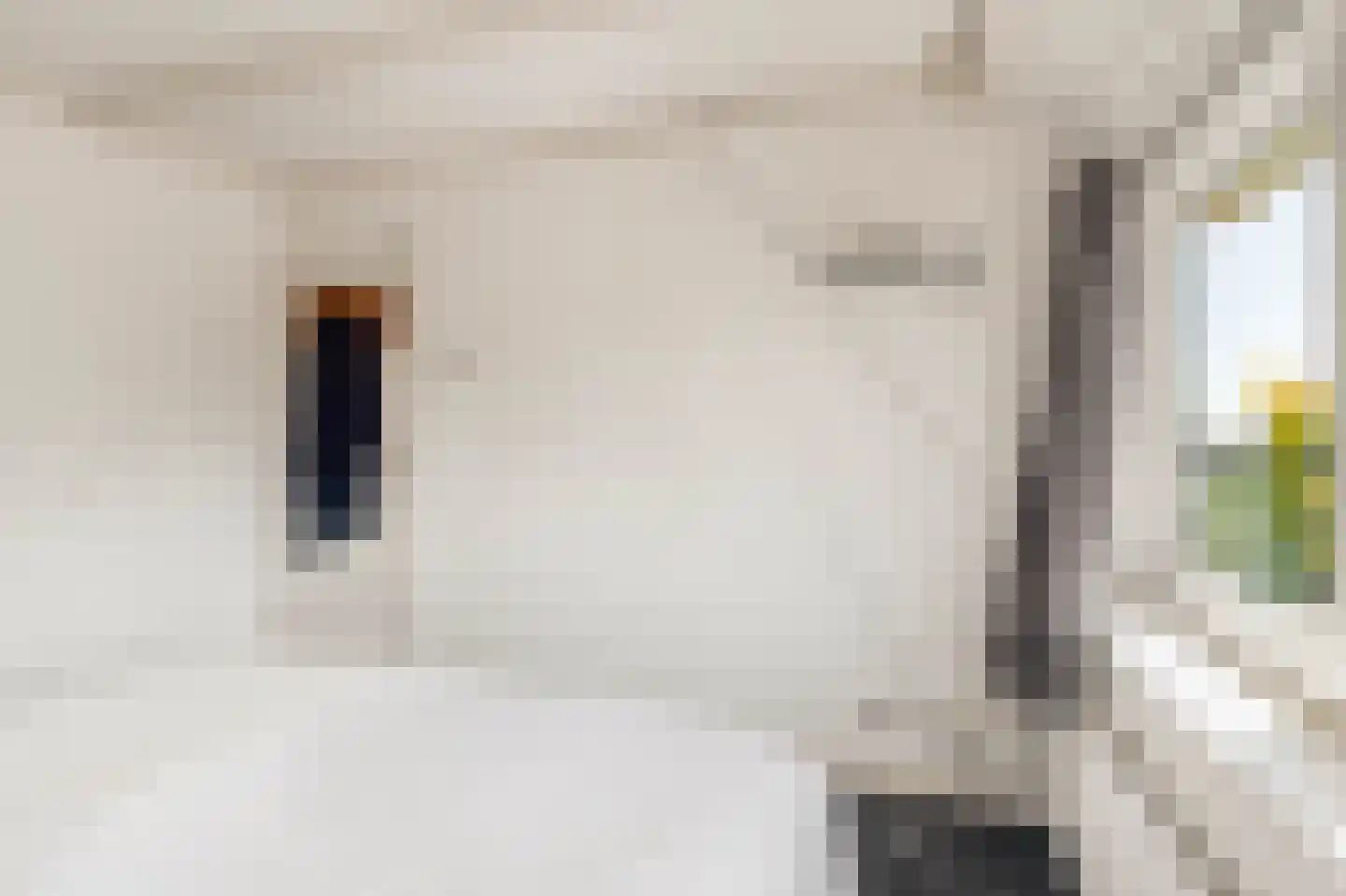 Pernéstraat 34 Castricum thumbnail 33