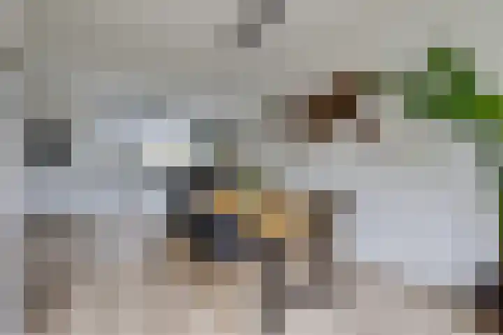 Pernisplaats 2 Arnhem thumbnail 13
