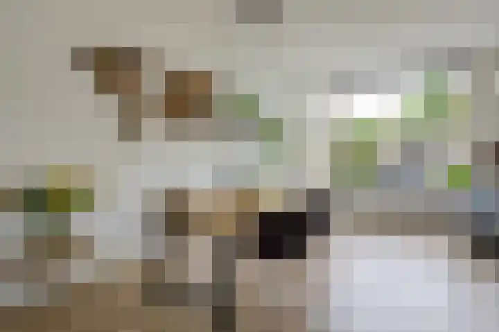 Pernisplaats 2 Arnhem thumbnail 18