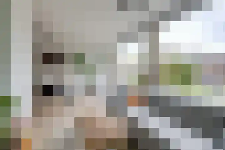 Pernisplaats 2 Arnhem thumbnail 20