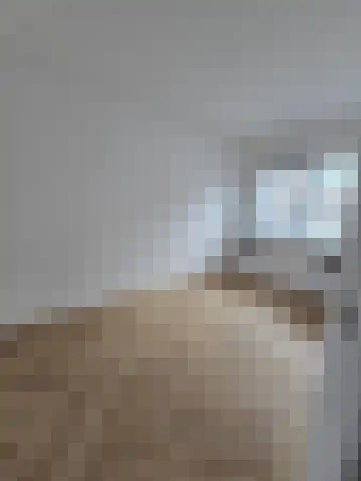 Pernisser Molenweg 42 Pernis Rotterdam thumbnail 37