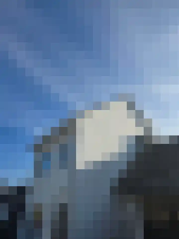 Pernisser Molenweg 42 Pernis Rotterdam thumbnail 7