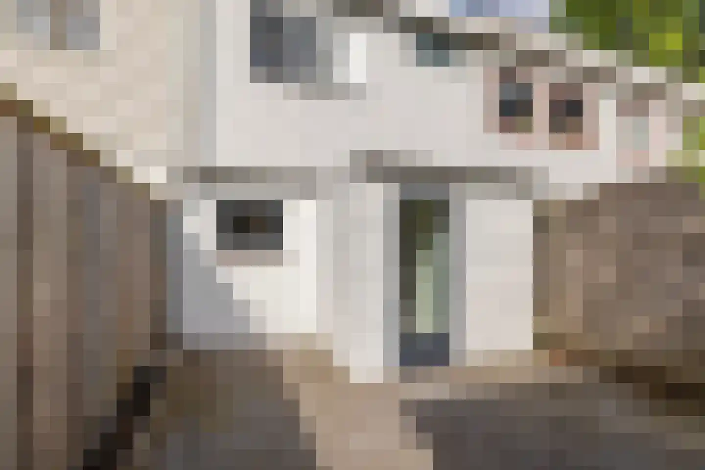 Pernisser Molenweg 57 Pernis Rotterdam thumbnail 32