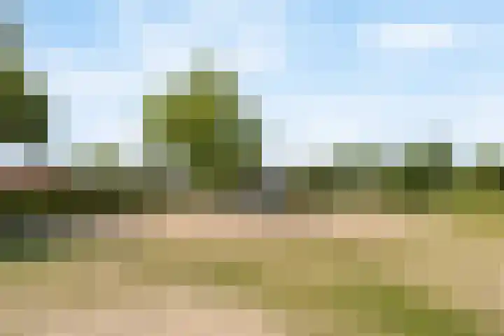 Pernisstraat 104 Zoetermeer thumbnail 33