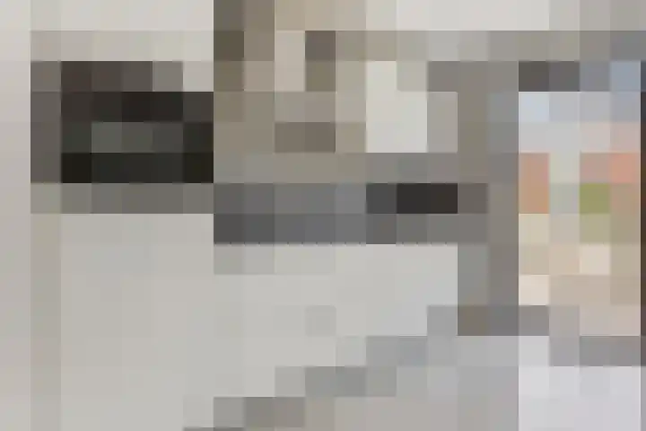 Pernisstraat 104 Zoetermeer thumbnail 7