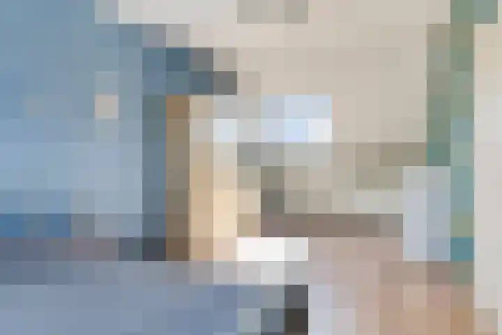 Pernisstraat 24 Zoetermeer thumbnail 34