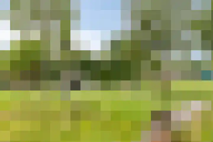 Pernisstraat 24 Zoetermeer thumbnail 39