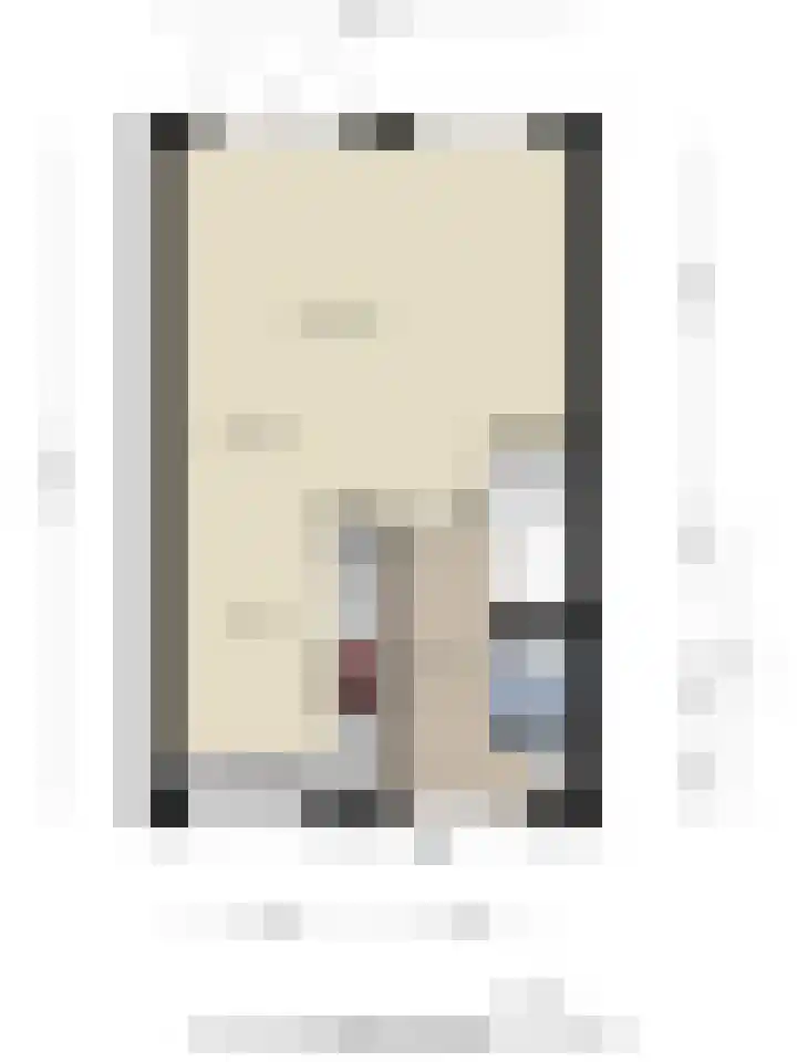Pernisstraat 24 Zoetermeer thumbnail 41