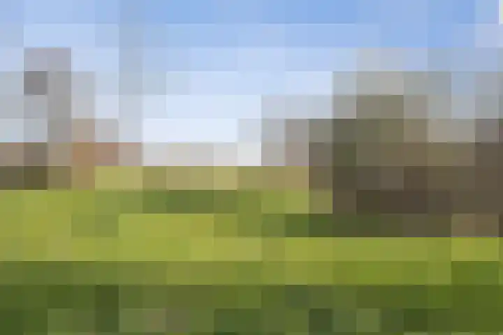 Pernisstraat 24 Zoetermeer thumbnail 5
