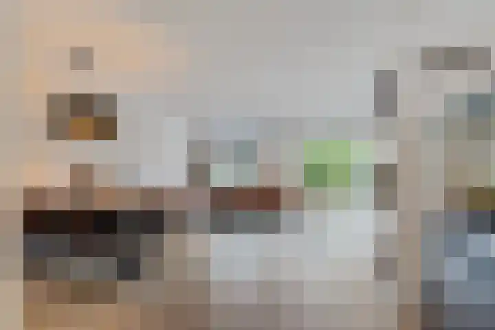 Pernisstraat 67 Zoetermeer thumbnail 13