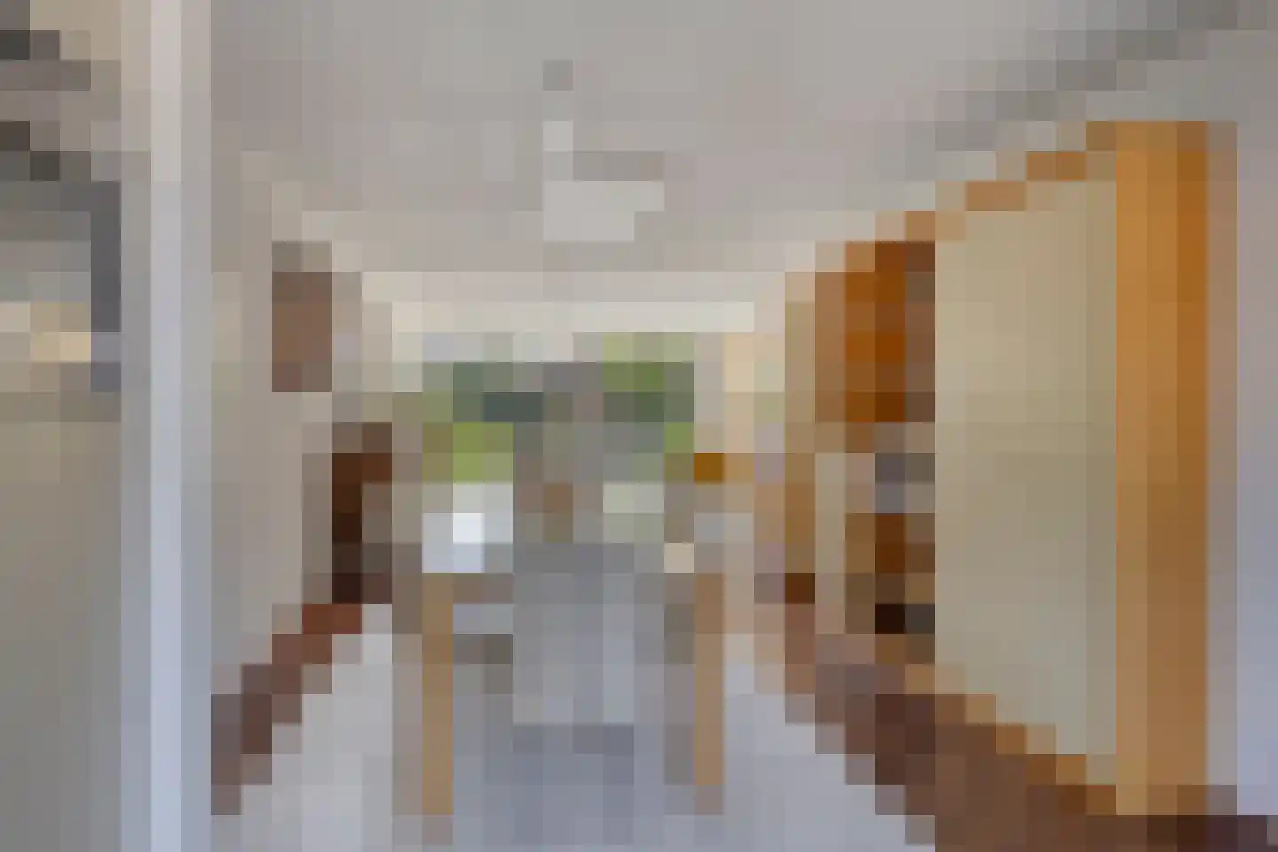 Perobahout 9 Zoetermeer thumbnail 10