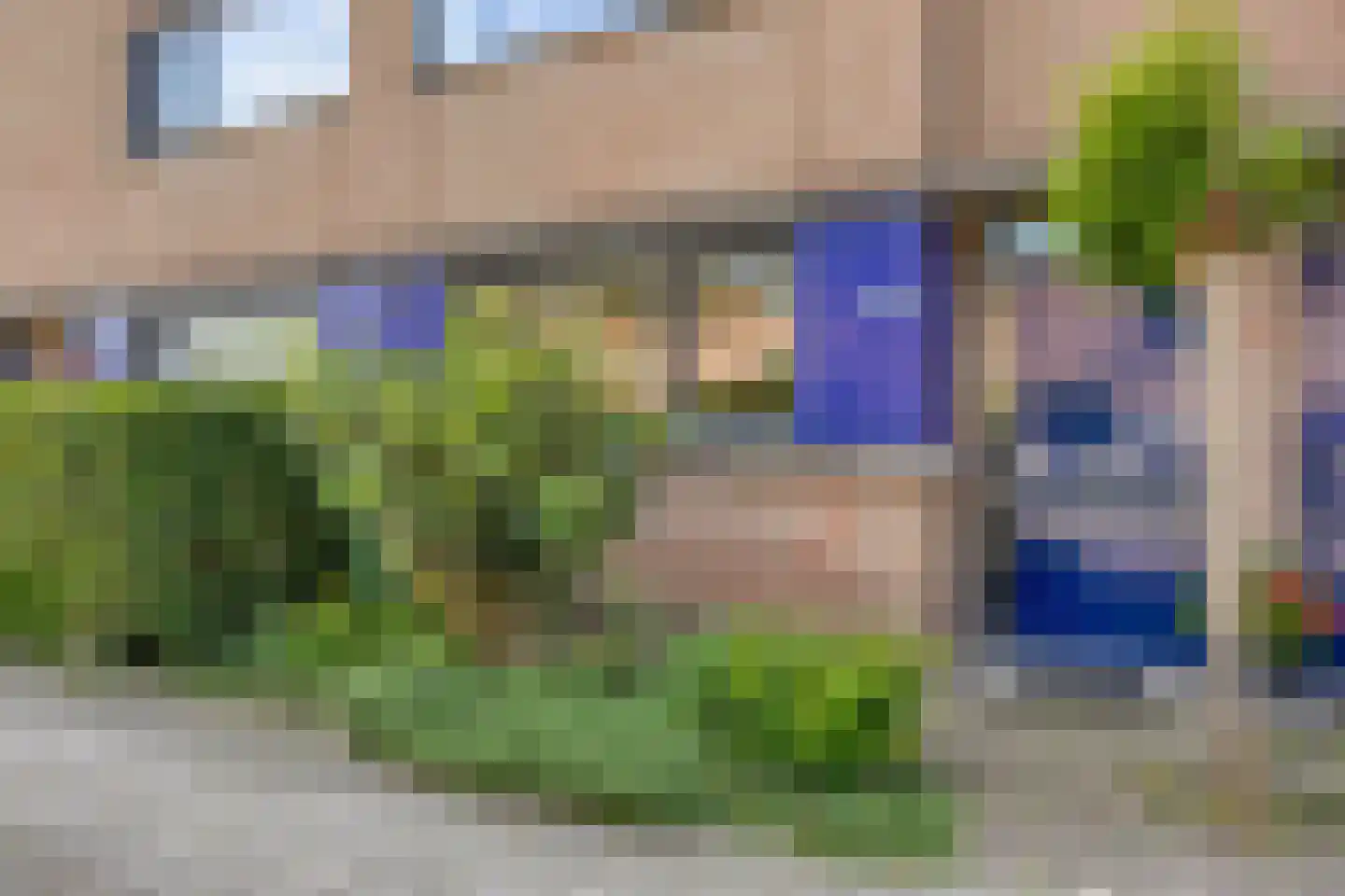 Perobahout 9 Zoetermeer thumbnail 13
