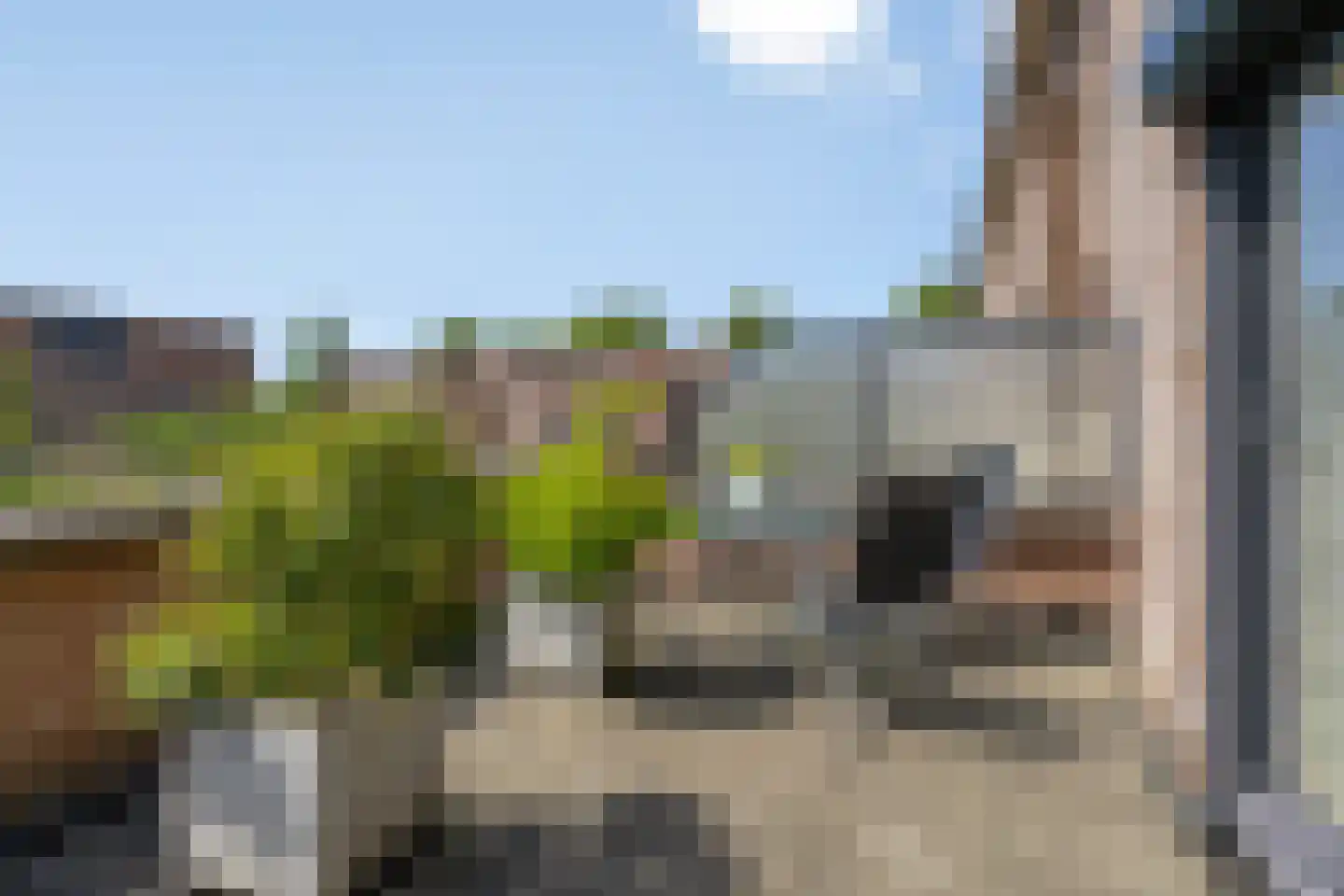 Perobahout 9 Zoetermeer thumbnail 18