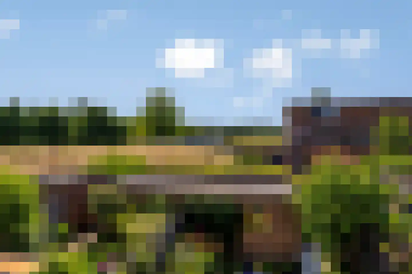 Perobahout 9 Zoetermeer thumbnail 20