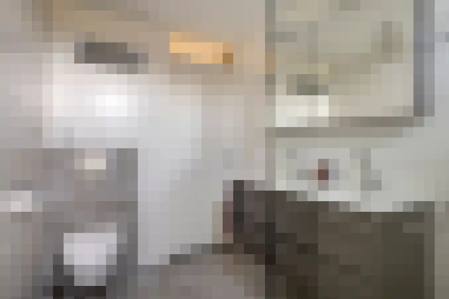 Perobahout 9 Zoetermeer thumbnail 21
