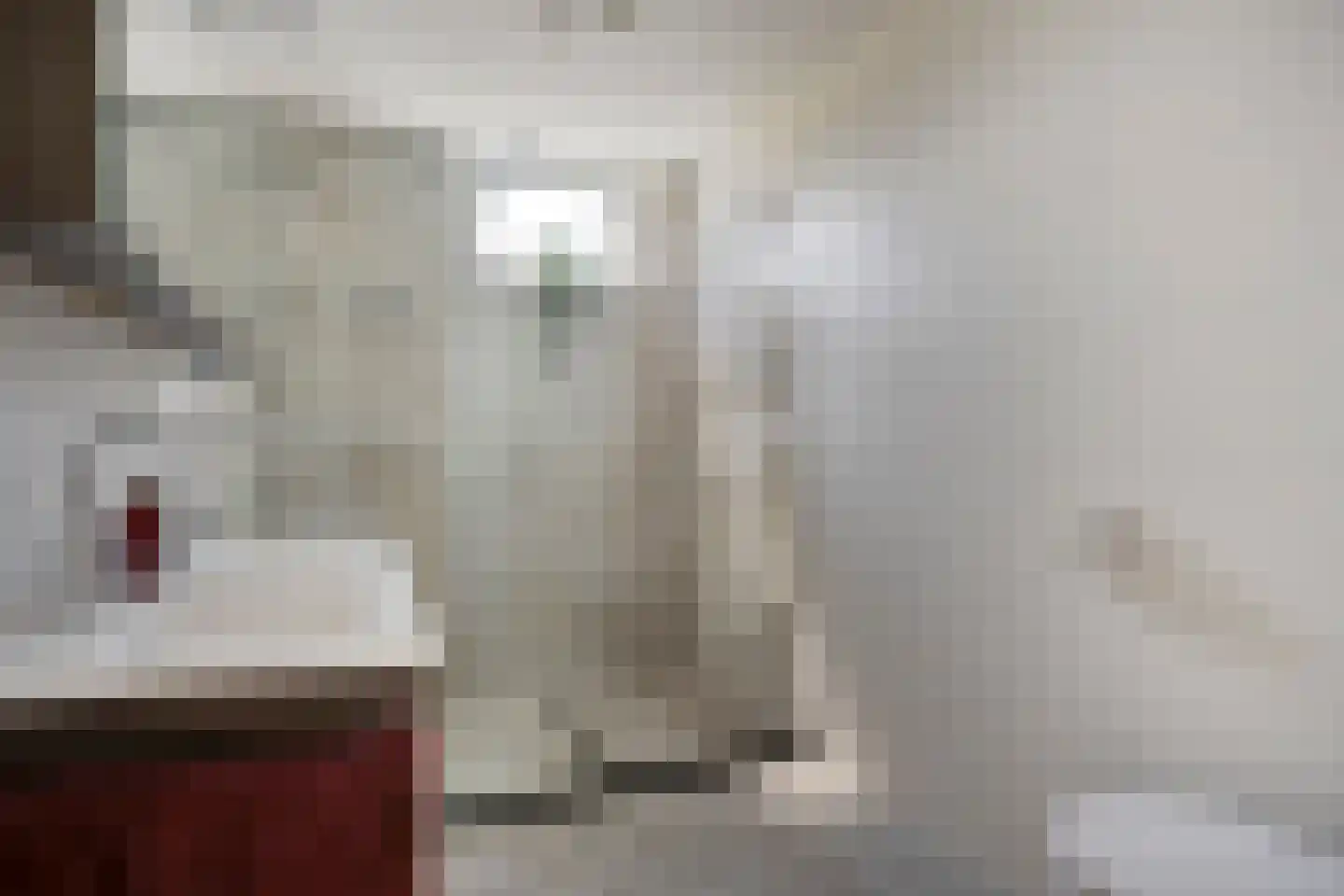 Perobahout 9 Zoetermeer thumbnail 22