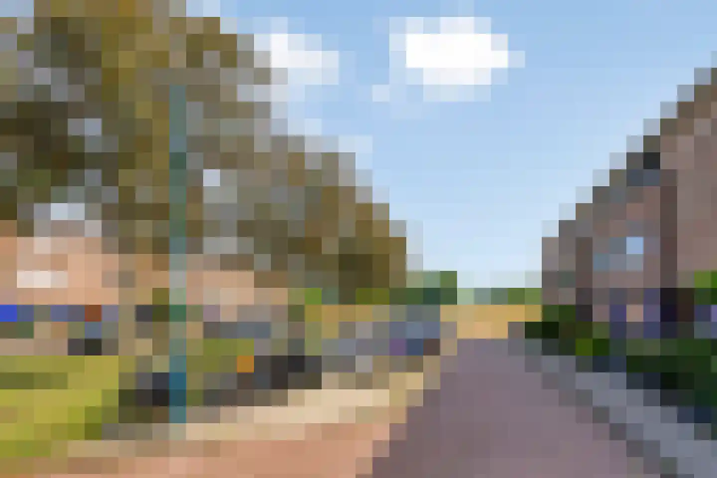 Perobahout 9 Zoetermeer thumbnail 34