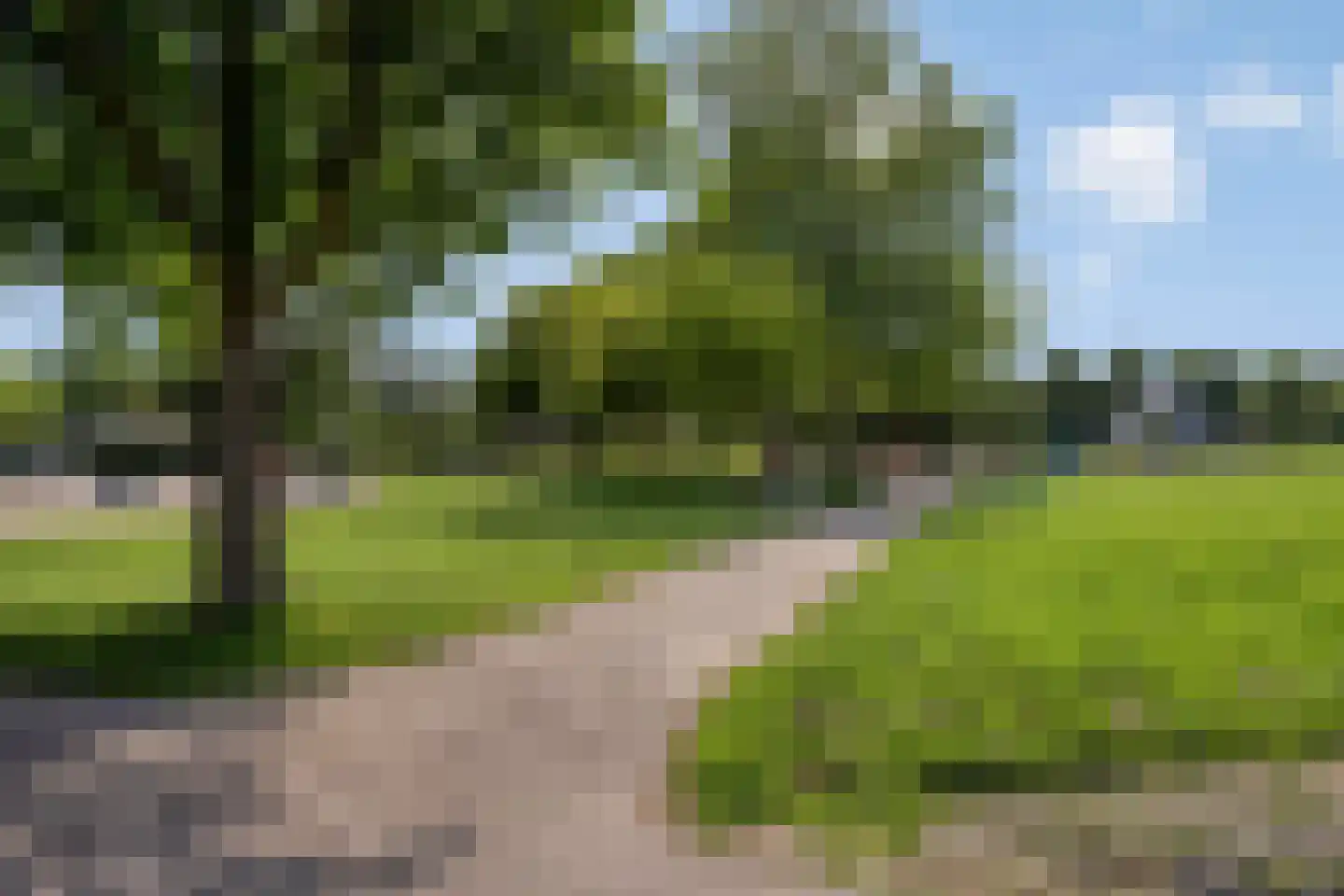 Perobahout 9 Zoetermeer thumbnail 39